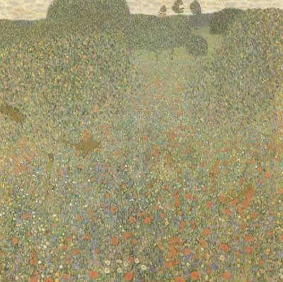 Gustav Klimt Poppy Field (mk20) Spain oil painting art